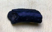 藏品(鹿角)的圖片